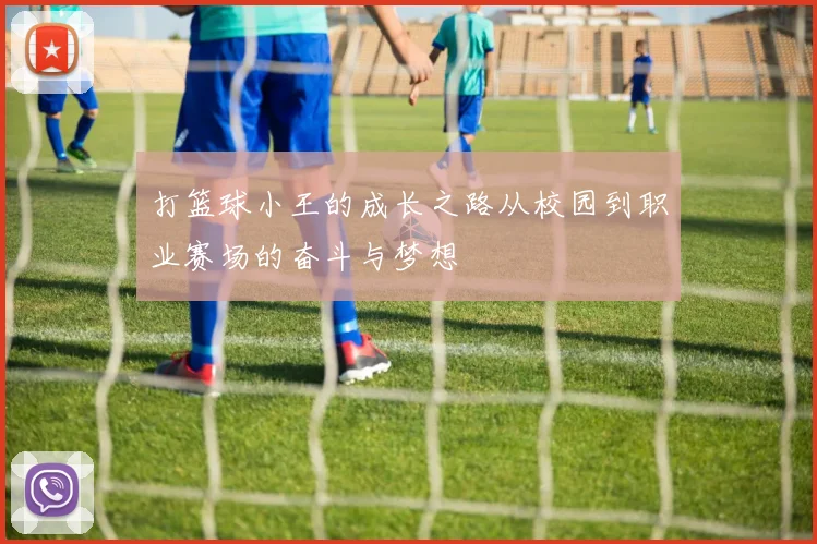 打篮球小王的成长之路从校园到职业赛场的奋斗与梦想