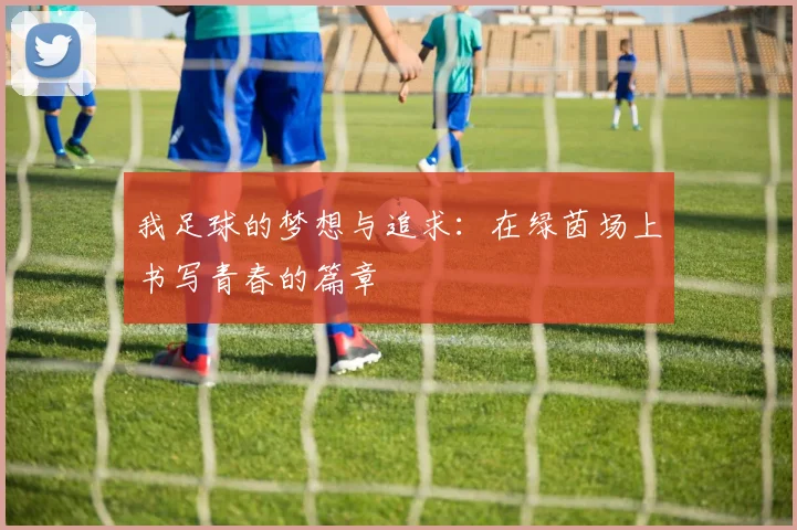 我足球的梦想与追求：在绿茵场上书写青春的篇章