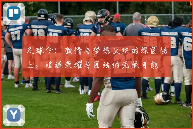 足球令：激情与梦想交织的绿茵场上，追逐荣耀与团结的无限可能