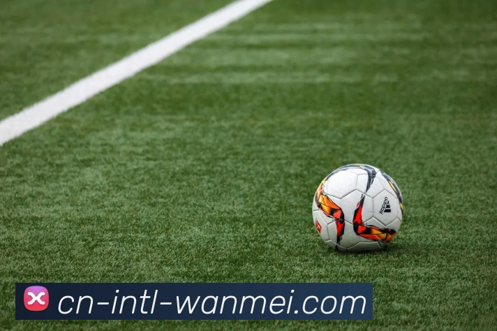 WANMEI SPORTS发展历程